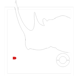 Rhino Production